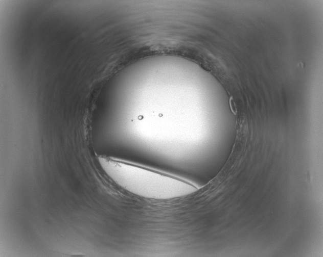 X0000069361012200605120911