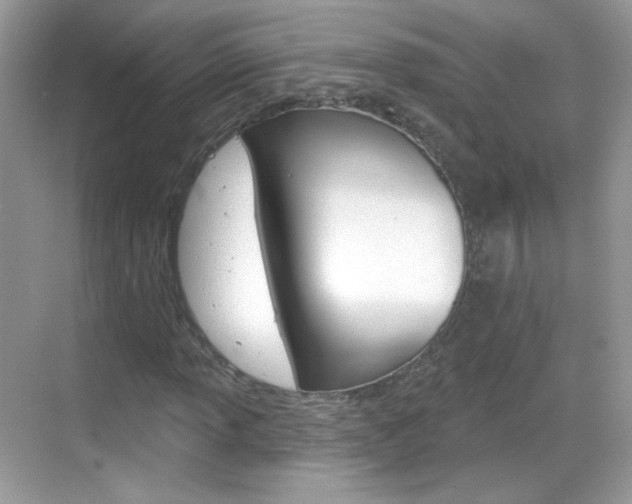X0000069361013200605120911