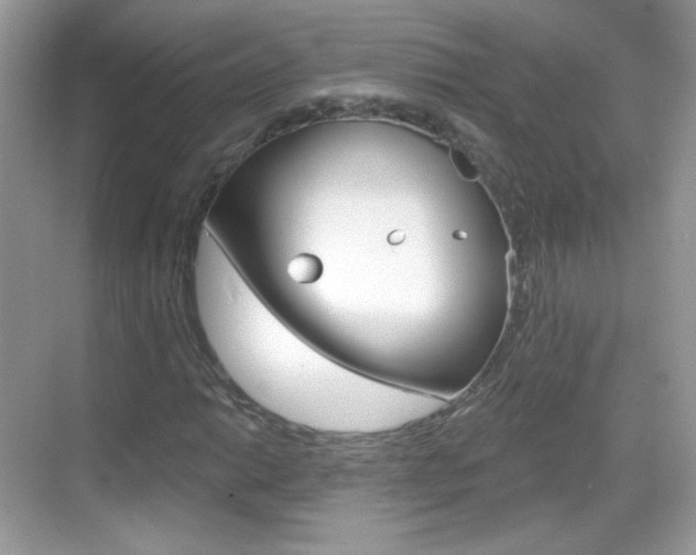 X0000069361014200605120911