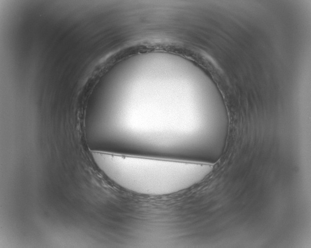 X0000069361016200605120911