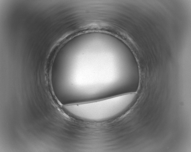 X0000069361018200605120911