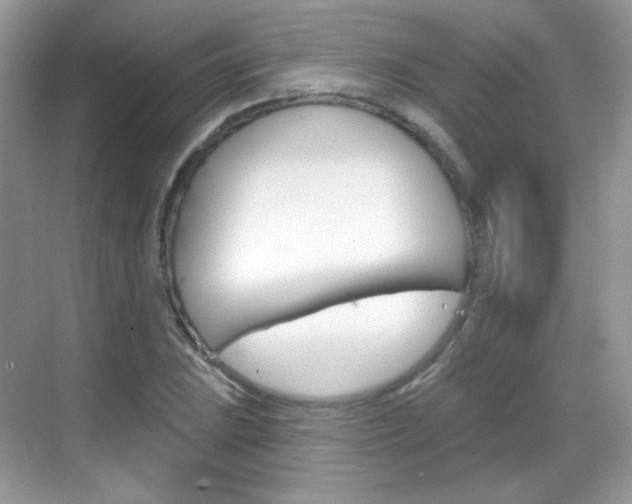 X0000069361023200605120911