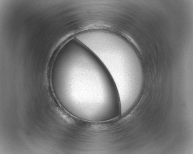 X0000069361026200605120911