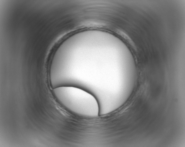 X0000069361027200605120911