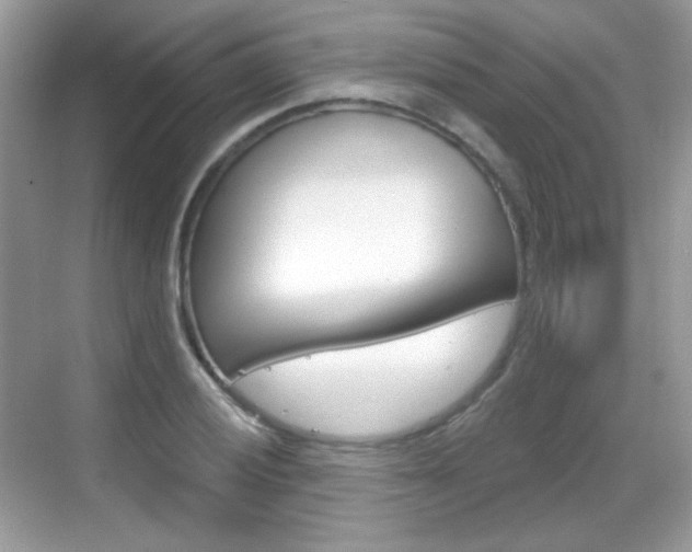 X0000069361028200605120911
