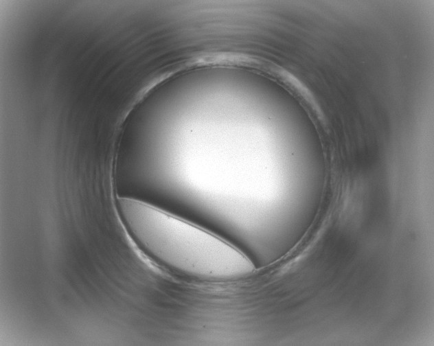X0000069361041200605120911