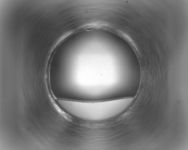X0000069361042200605120911