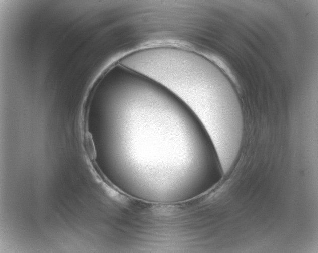 X0000069361046200605120911