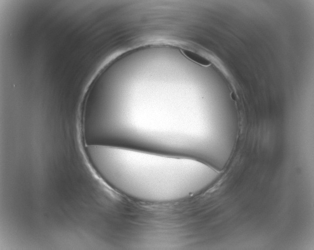X0000069361048200605120911