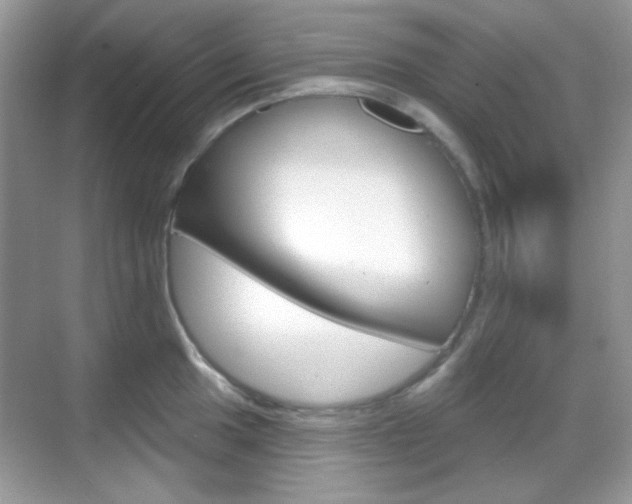 X0000069361049200605120911
