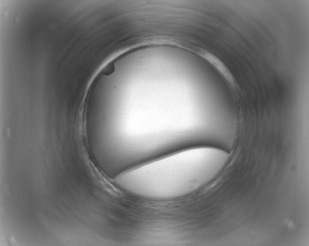 X0000069361052200605120911