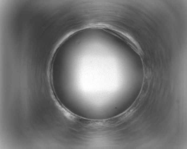 X0000069361054200605120911