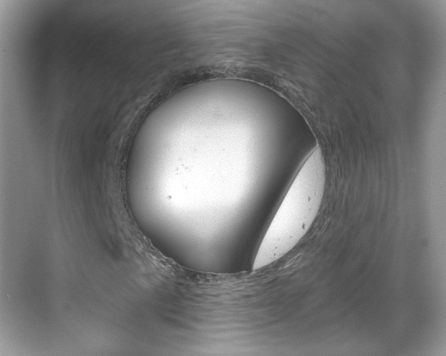 X0000069361057200605120911