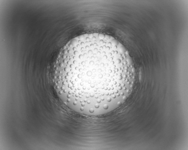X0000069361059200605120910