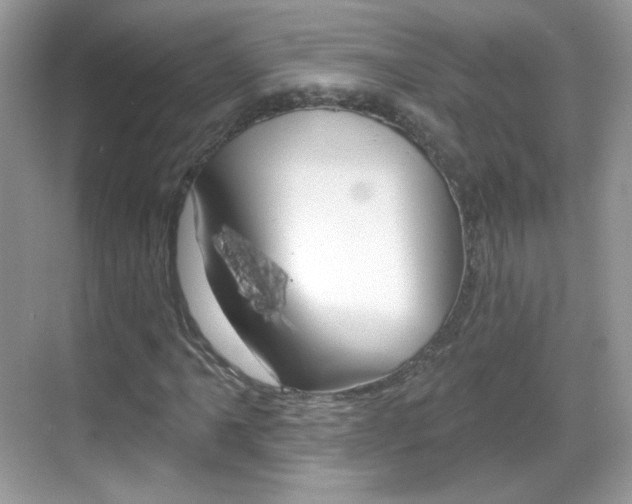X0000069361061200605120910