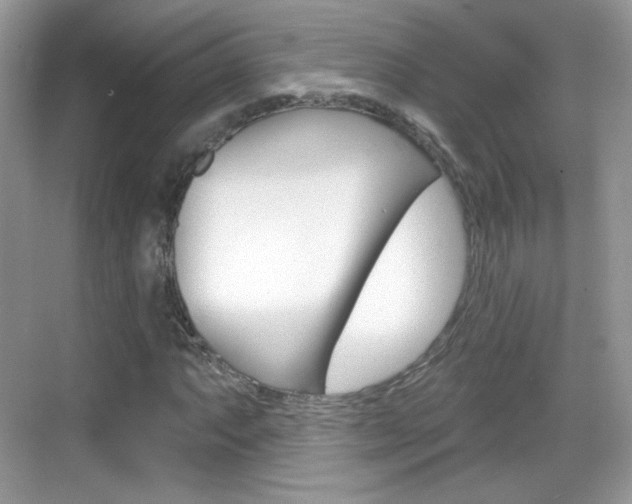 X0000069361063200605120910