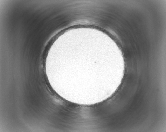 X0000069361070200605120910