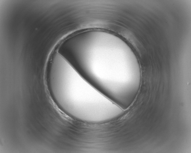 X0000069361072200605120910