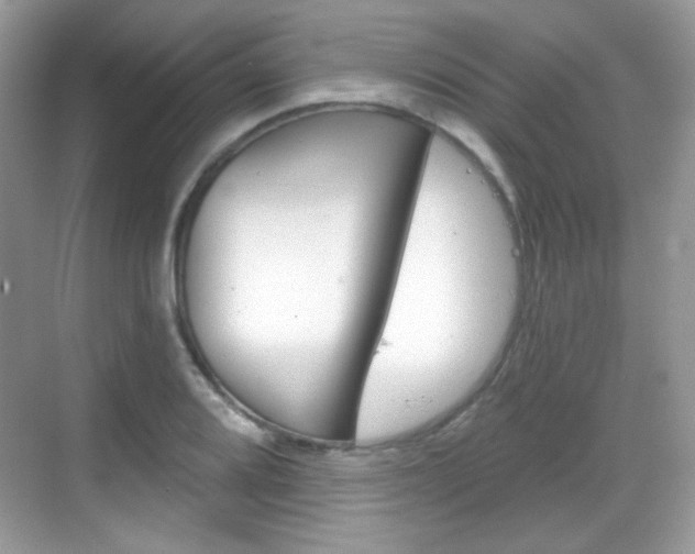 X0000069361080200605120910
