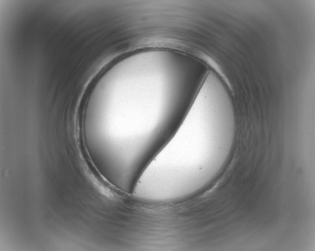 X0000069361082200605120910
