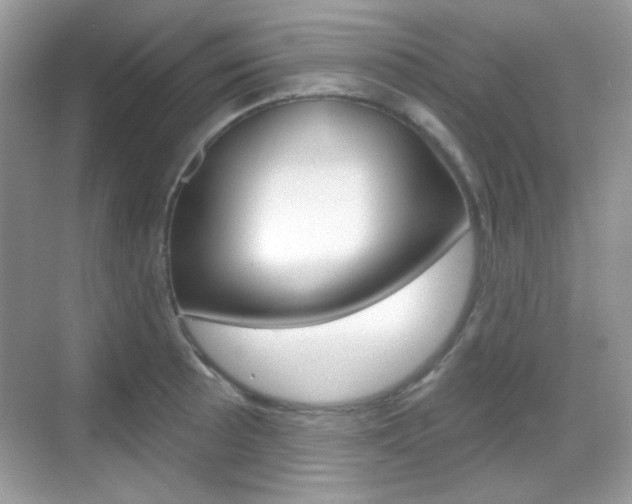 X0000069361089200605120910