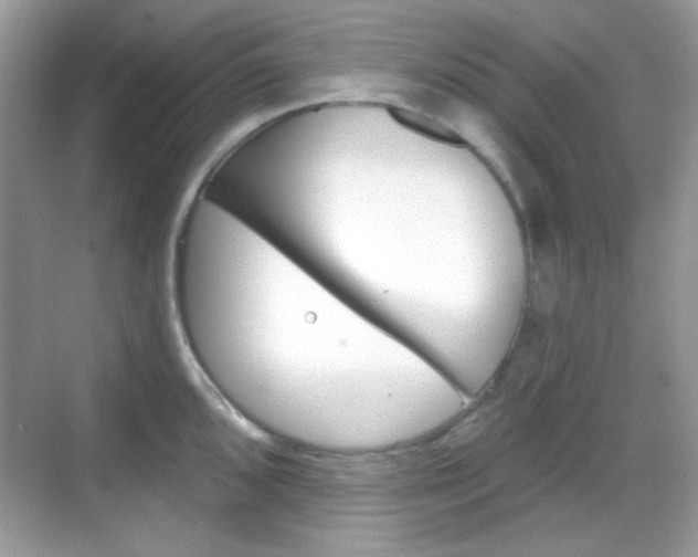 X0000069361096200605120910