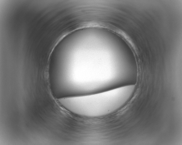 X0000069361097200605120910