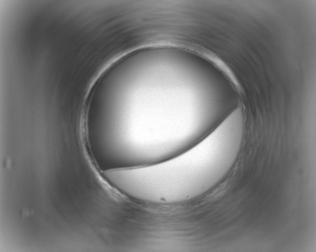 X0000069361101200605120910