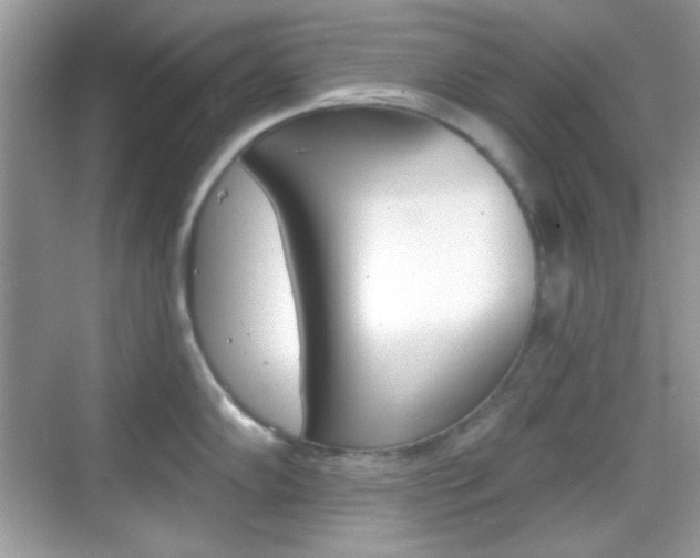 X0000069361102200605120910