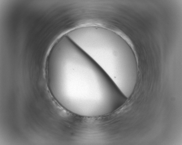 X0000069361104200605120910
