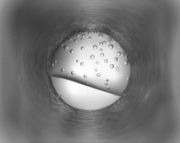 X0000069361105200605120909