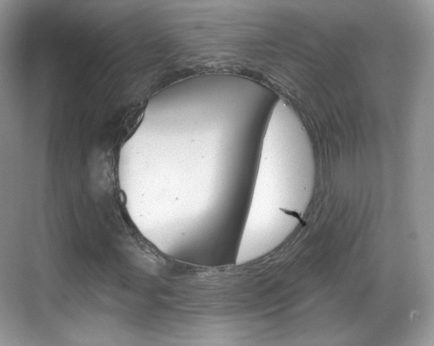 X0000069361107200605120909