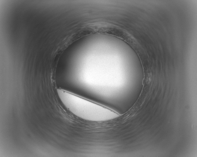 X0000069361108200605120909