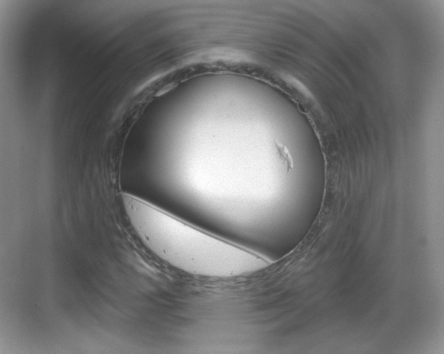 X0000069361112200605120909