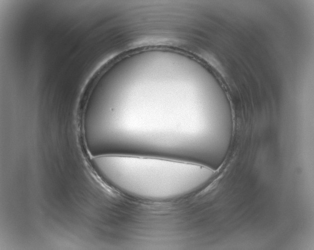 X0000069361119200605120909