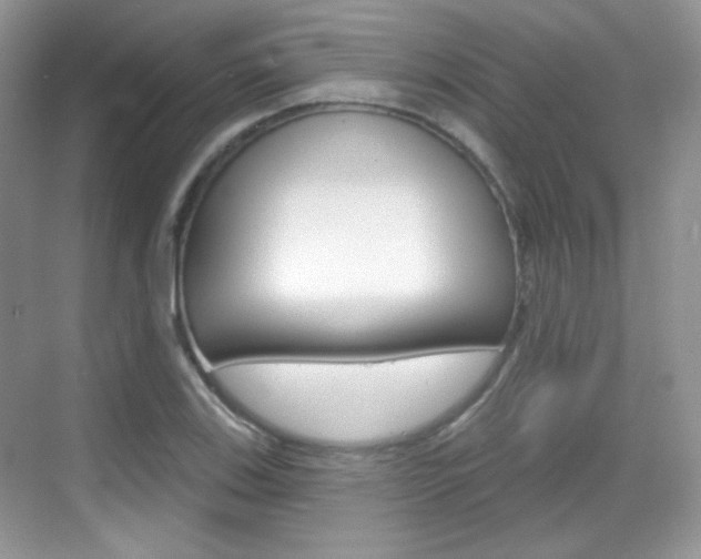 X0000069361123200605120909