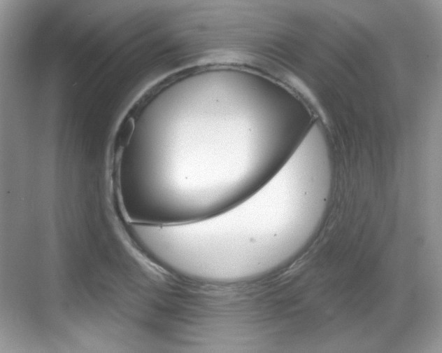 X0000069361124200605120909