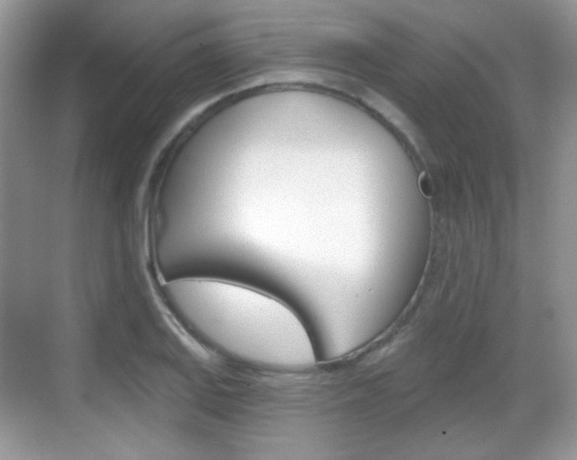 X0000069361127200605120909