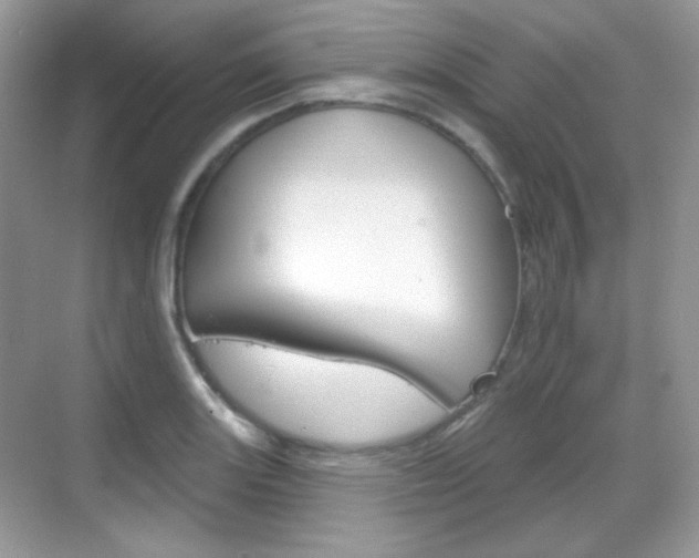 X0000069361131200605120909
