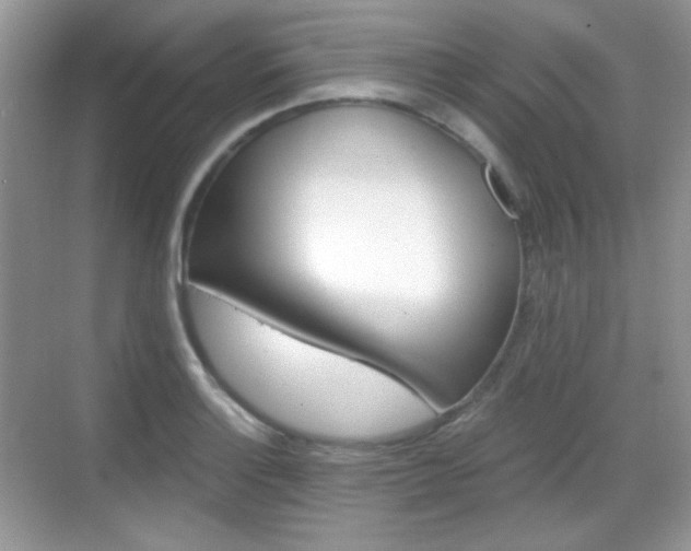 X0000069361132200605120909