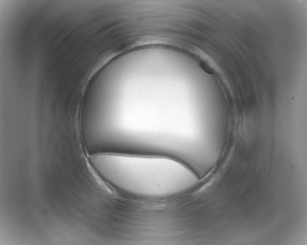 X0000069361137200605120909