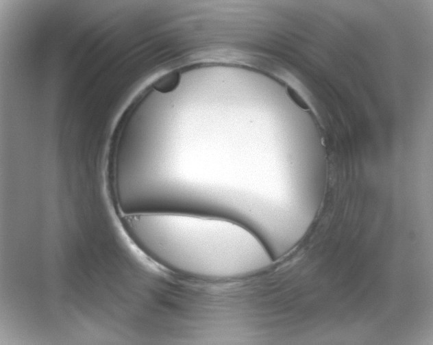 X0000069361139200605120909