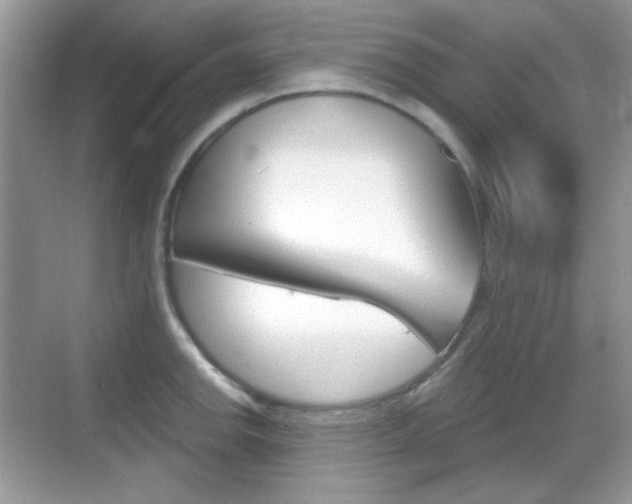 X0000069361142200605120910
