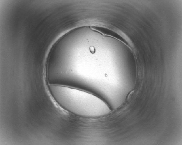 X0000069361144200605120910