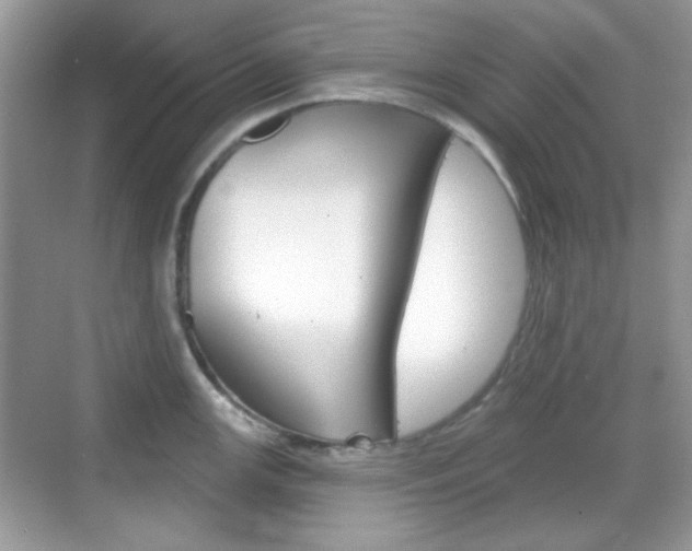 X0000069361147200605120910