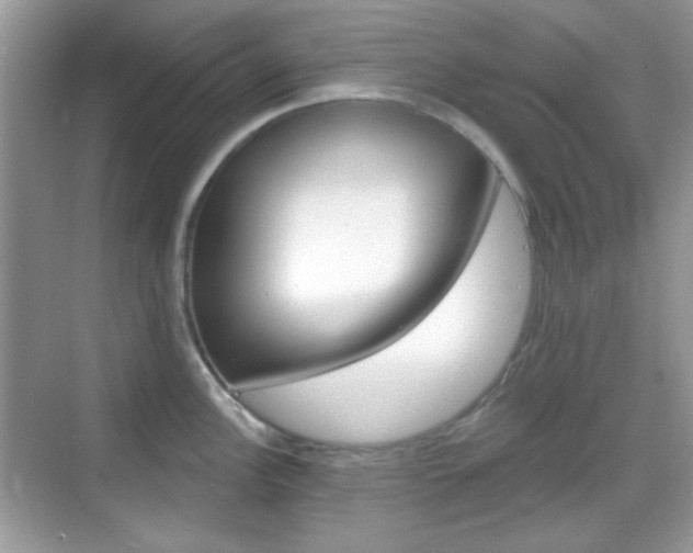 X0000069361148200605120910