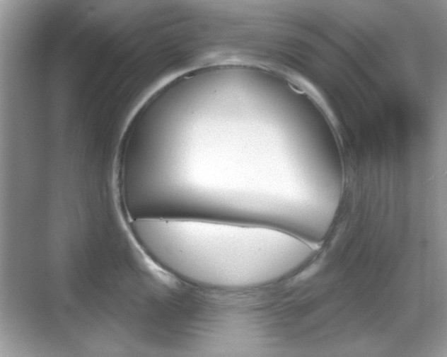 X0000069361149200605120910