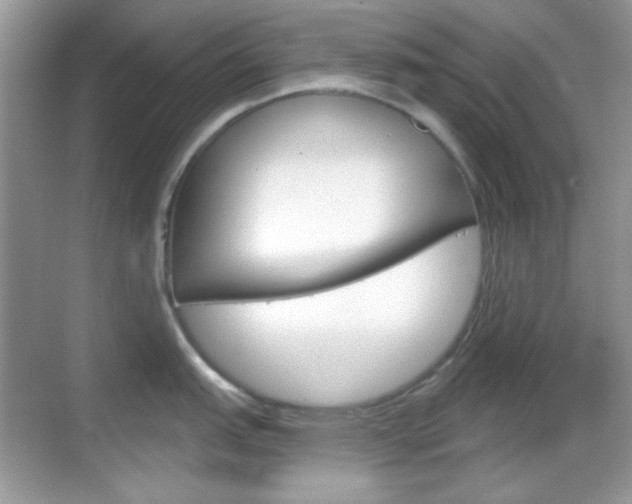 X0000069361151200605120910