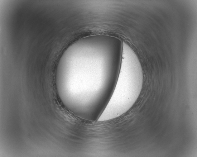 X0000069361153200605120909