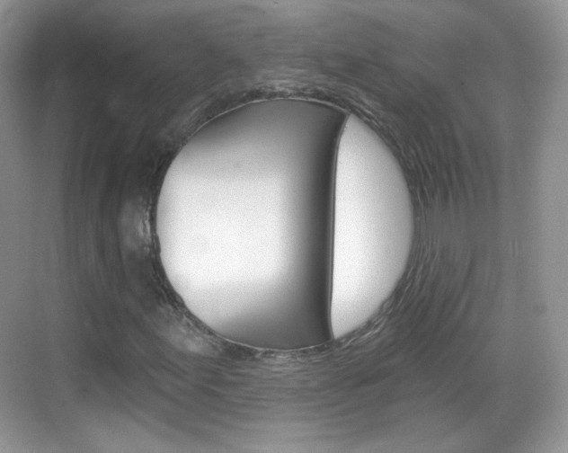 X0000069361155200605120909
